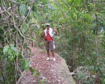 Maggotty Falls Jamaica Maggotty Falls Jamaica
