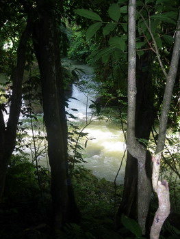 Maggotty Falls Jamaica Maggotty Falls Jamaica