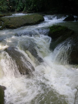 Maggotty Falls Jamaica Maggotty Falls Jamaica