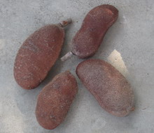 Image of Stinking Toe, Jamaican fruit Image of Stinking Toe, Jamaican fruit