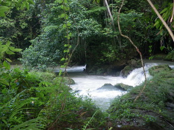 Maggotty Falls Jamaica Maggotty Falls Jamaica