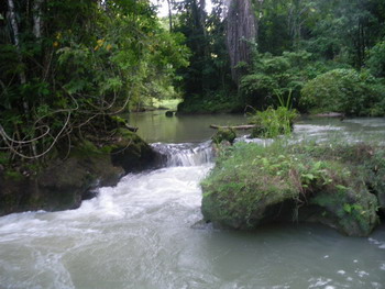 Maggotty Falls Jamaica Maggotty Falls Jamaica