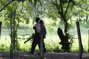 Farmers Jamaica