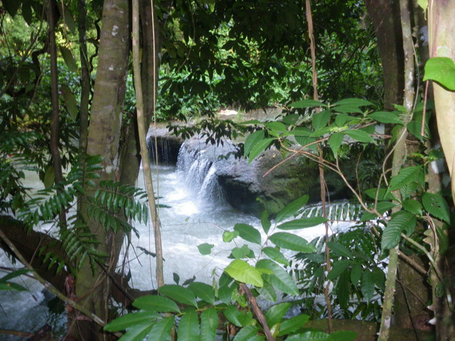 accompong maroon tour