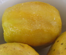June Plum Jamaican Fruit