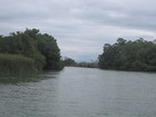 Safari on the Black River