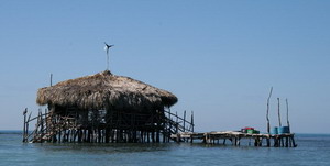 Pelican Bar