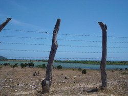 Drought St. Elizabeth Jamaica