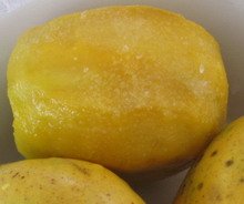 June Plum Jamaican Fruit