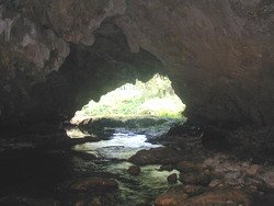 Cave Jamaica